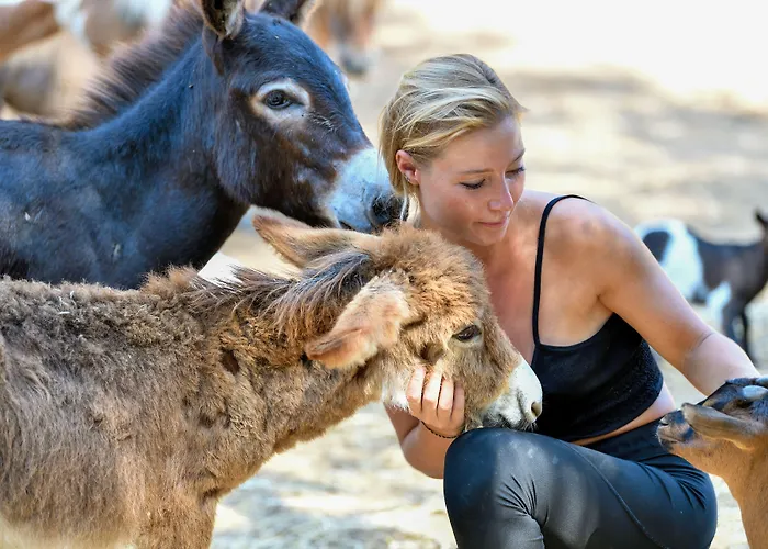 Monte Turri - Adults Only 4* Àrbatax