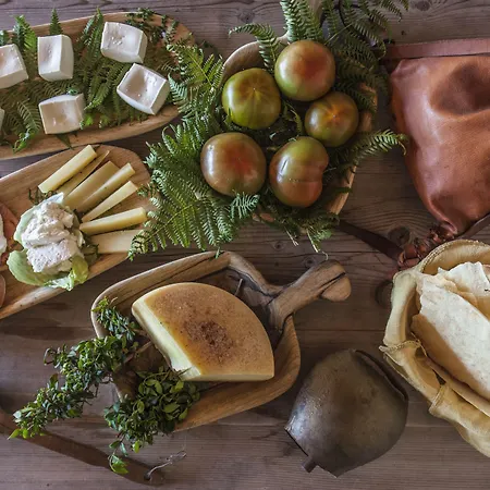 Monte Turri - Adults Only 4* Àrbatax