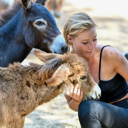 Monte Turri - Adults Only 4* Àrbatax